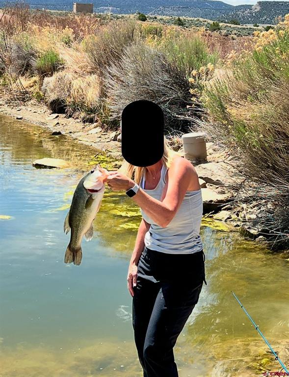 777 County Road 977 Arboles CO 81147