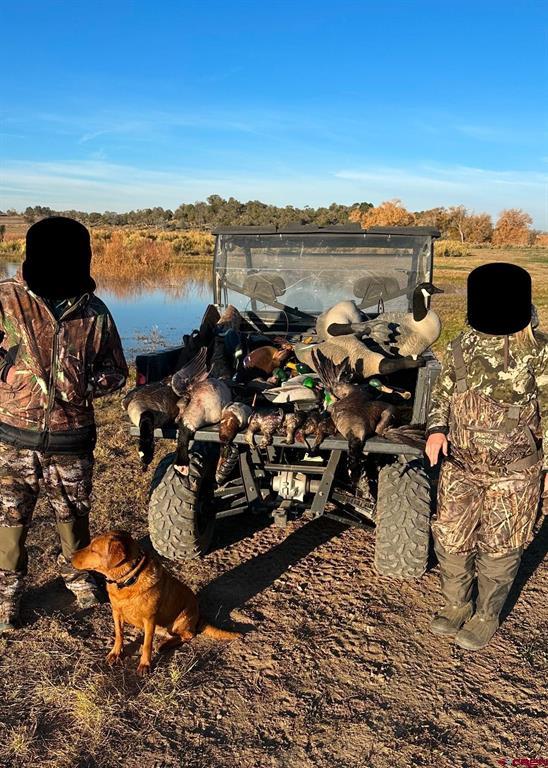 777 County Road 977 Arboles CO 81147