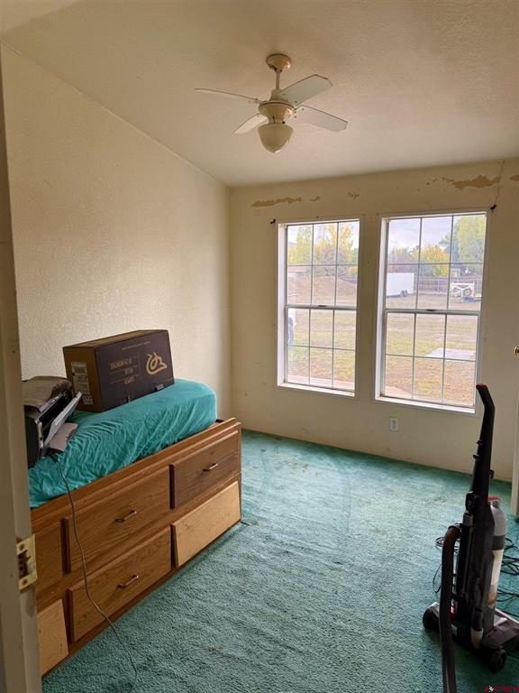 2796 Matie Lane Montrose CO 81401