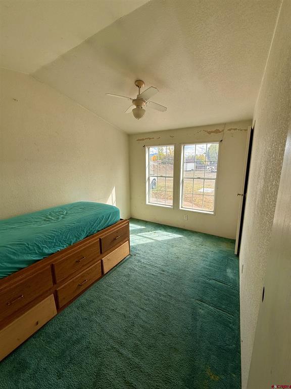 2796 Matie Lane Montrose CO 81401