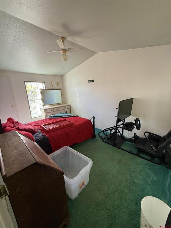 2796 Matie Lane Montrose CO 81401