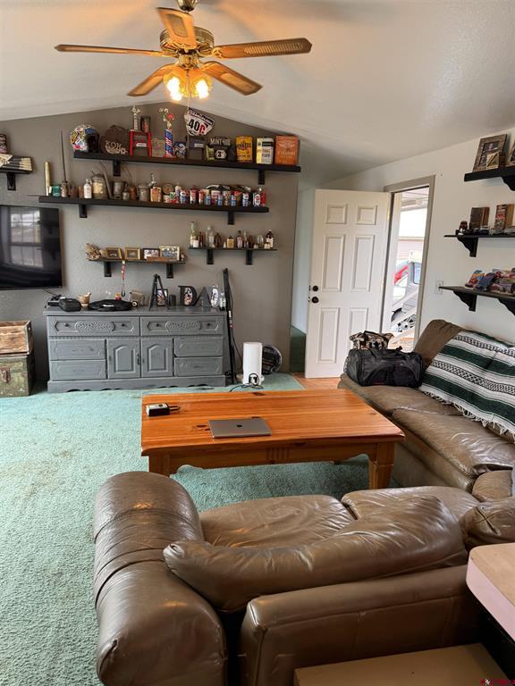 2796 Matie Lane Montrose CO 81401