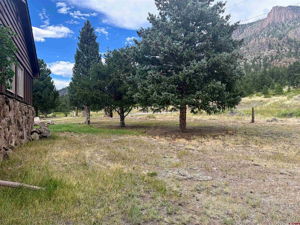106 Lupine Drive South Fork CO 81154