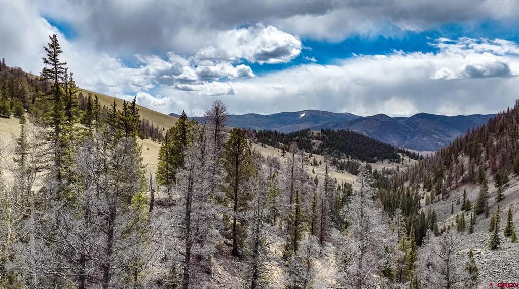 1441 Forest Road 507 1a Creede CO 81130