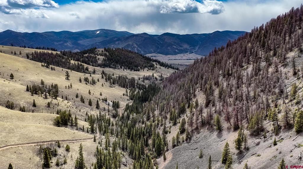 1441 Forest Road 507 1a Creede CO 81130
