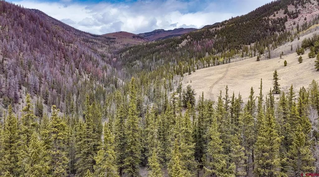 1441 Forest Road 507 1a Creede CO 81130