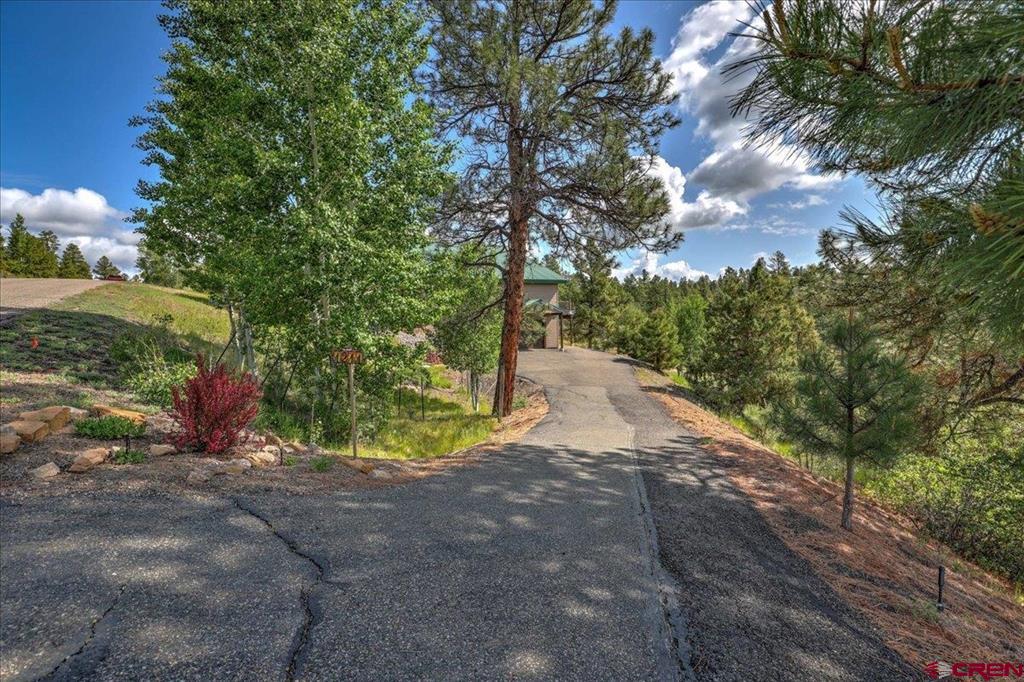 1211 Cool Pines Drive Pagosa Springs CO 81147