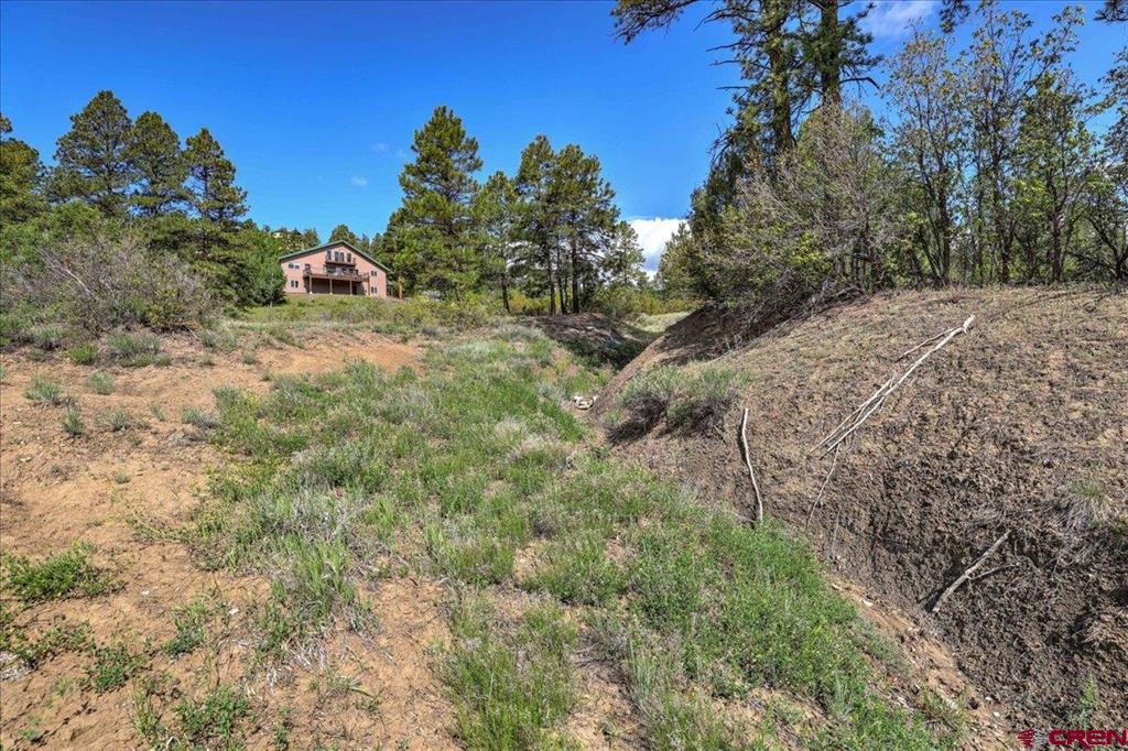1211 Cool Pines Drive Pagosa Springs CO 81147