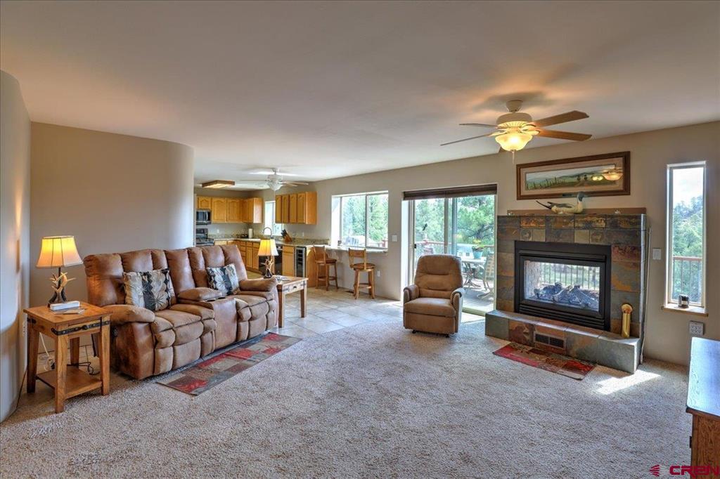 1211 Cool Pines Drive Pagosa Springs CO 81147