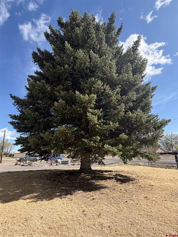 0065 County Road 38 Monte Vista CO 81144