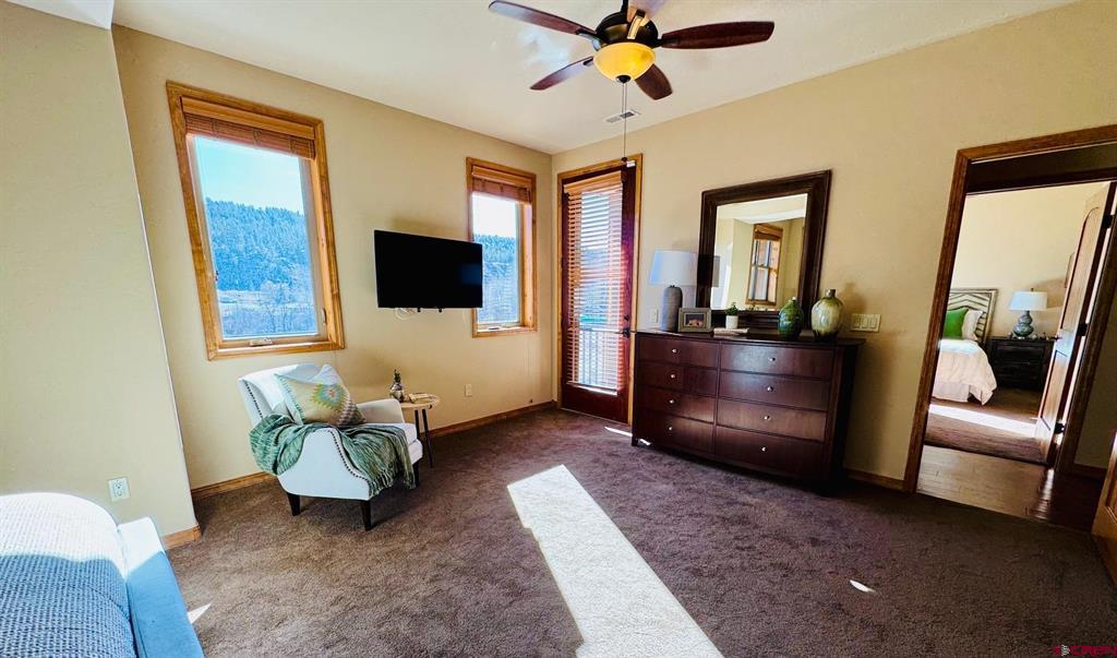 502 S 5th Street Pagosa Springs CO 81147