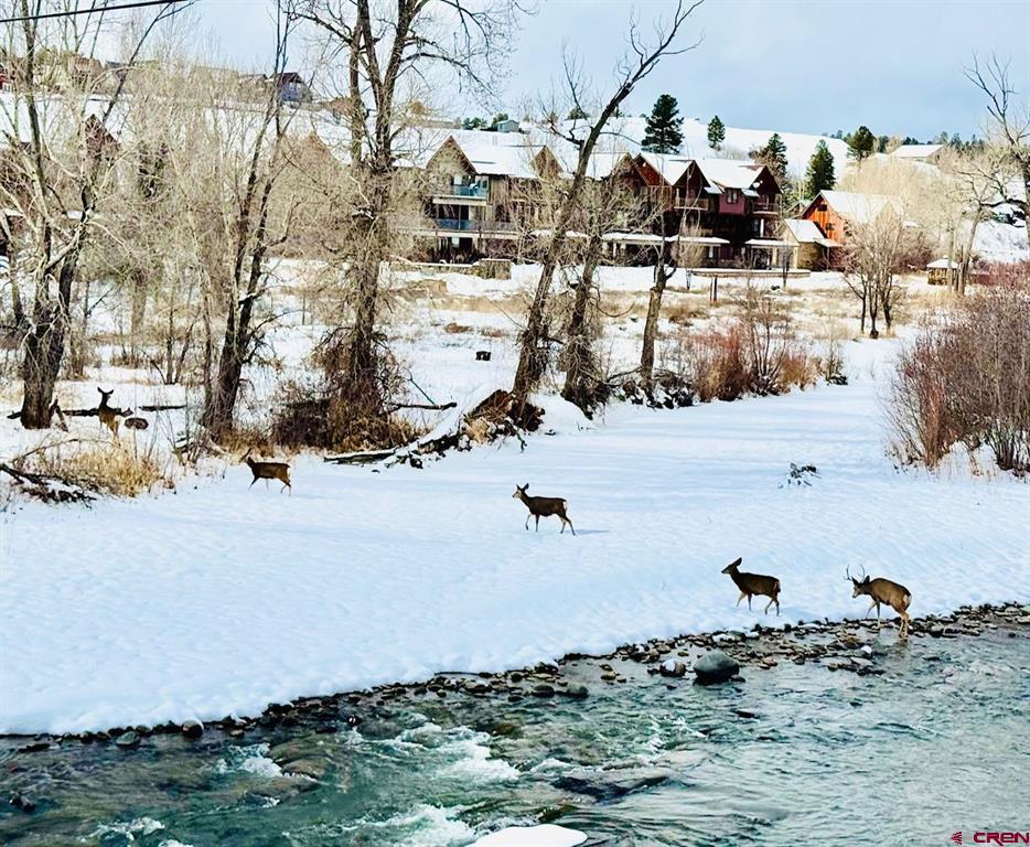 502 S 5th Street Pagosa Springs CO 81147