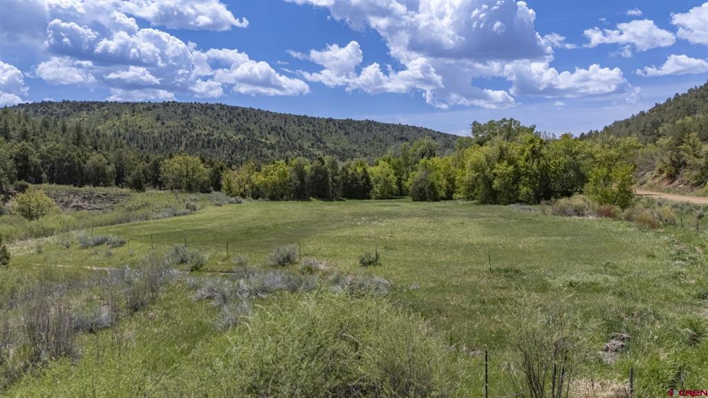 206 Shasta Trail Hesperus CO 81326