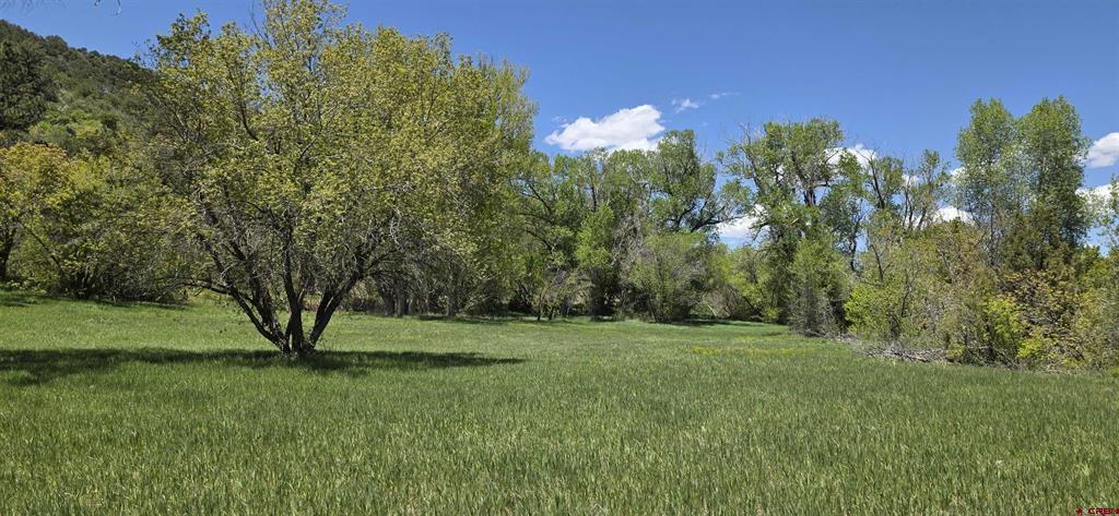 206 Shasta Trail Hesperus CO 81326