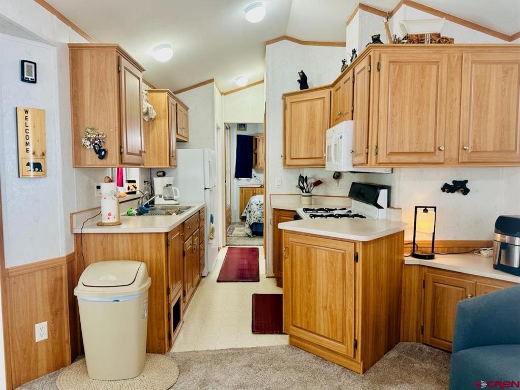 28 Okie Lane South Fork CO 81154
