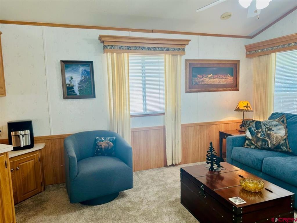 28 Okie Lane South Fork CO 81154