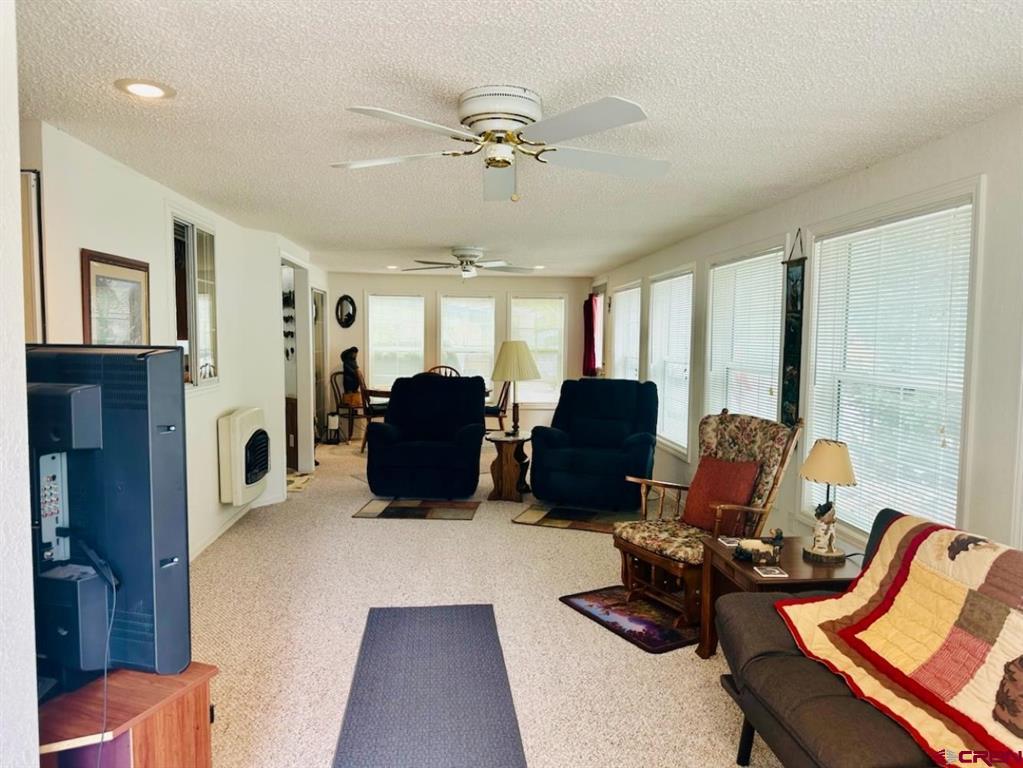 28 Okie Lane South Fork CO 81154
