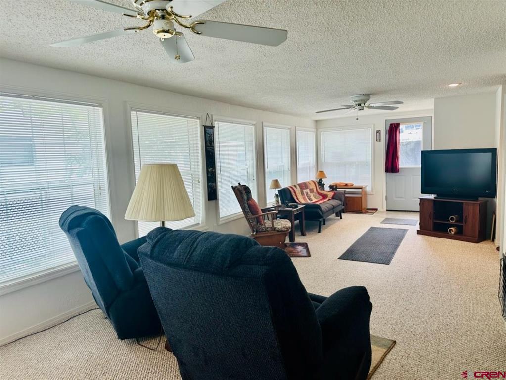 28 Okie Lane South Fork CO 81154