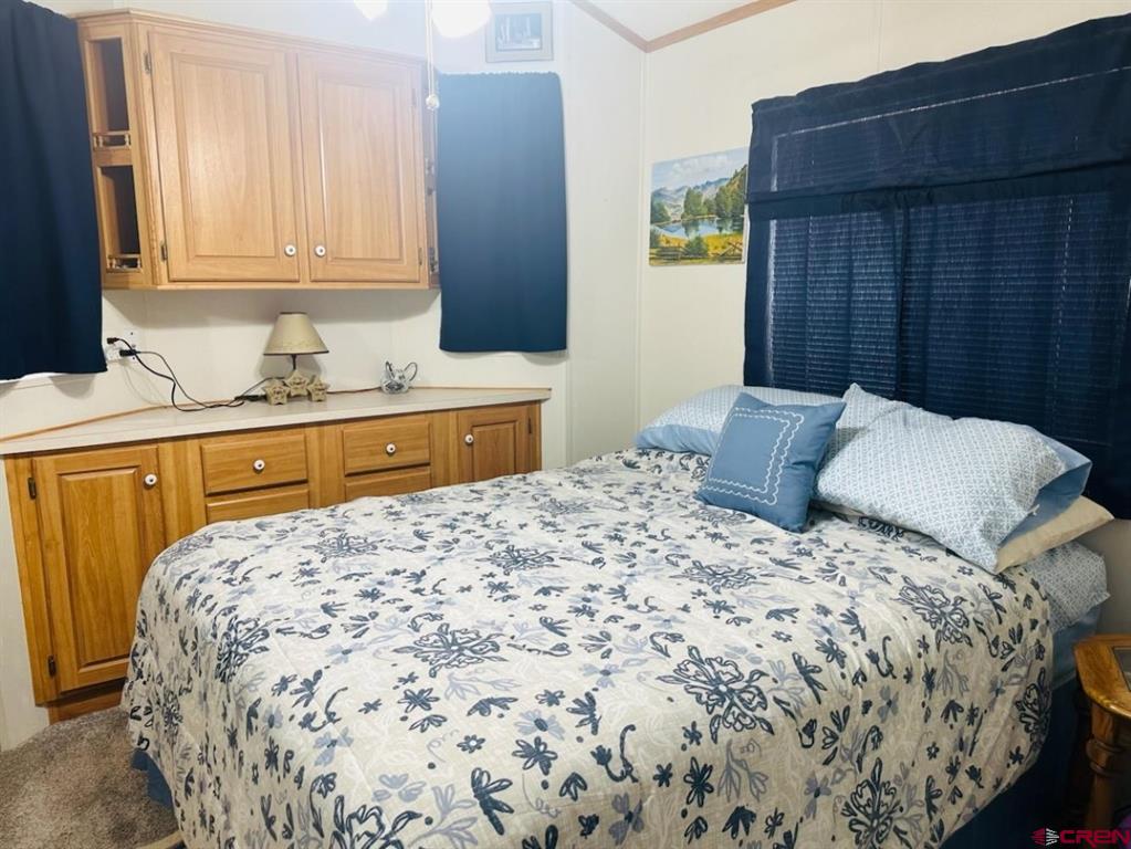 28 Okie Lane South Fork CO 81154