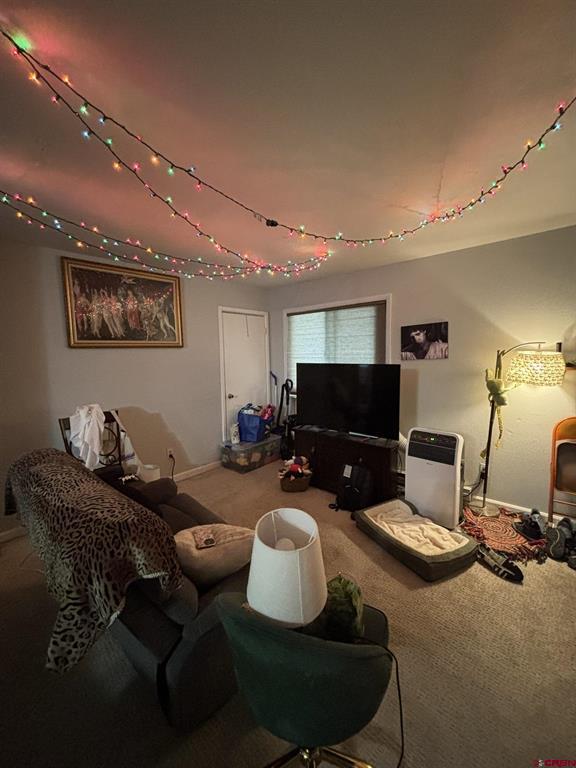 306 N 9th Street Gunnison CO 81230