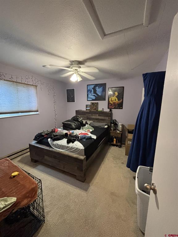 306 N 9th Street Gunnison CO 81230