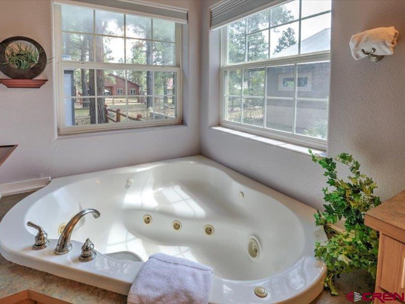 57 Garnet Court Pagosa Springs CO 81147