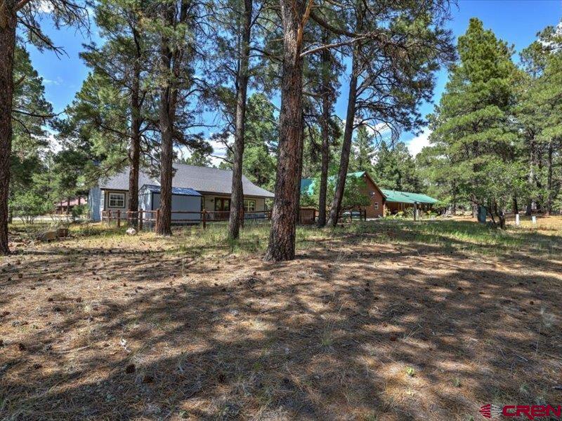 57 Garnet Court Pagosa Springs CO 81147