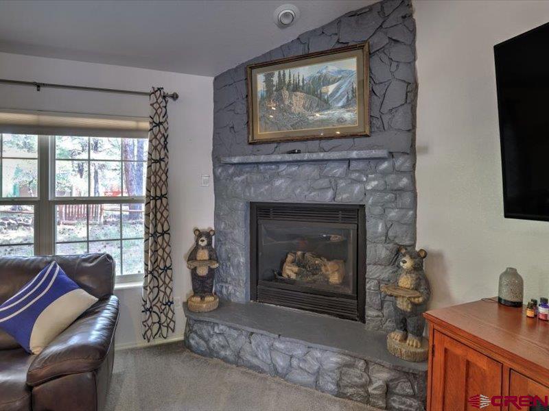 57 Garnet Court Pagosa Springs CO 81147