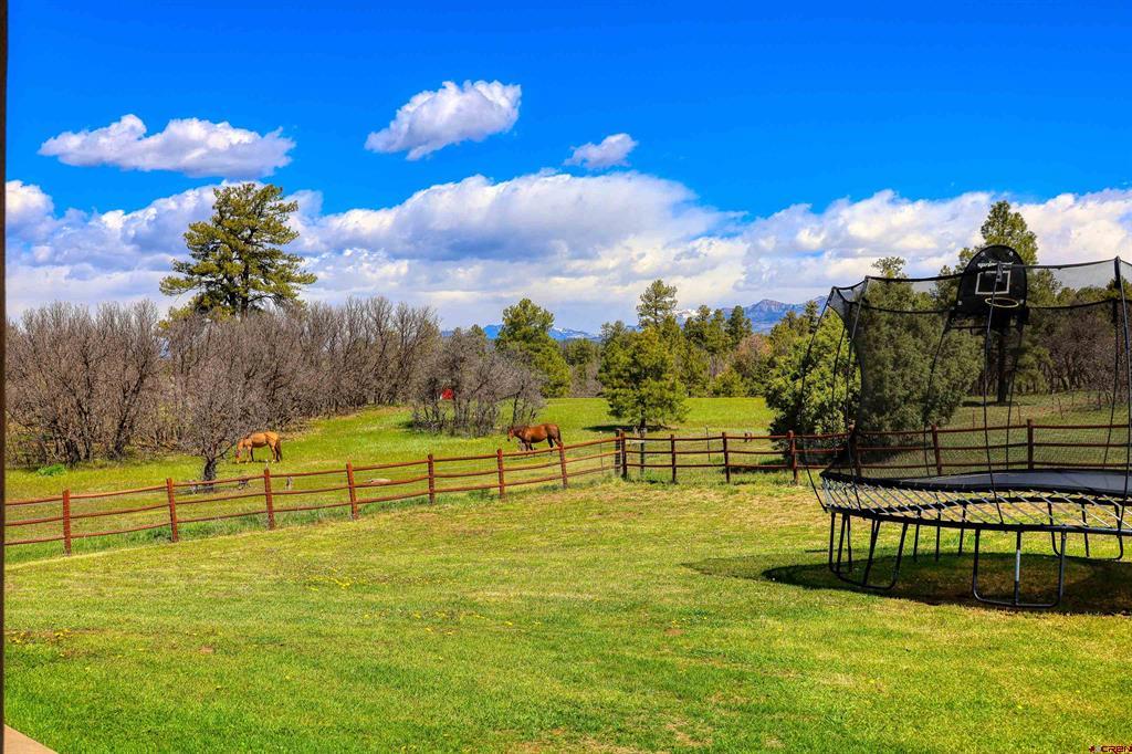 240 Paciente Place Pagosa Springs CO 81147