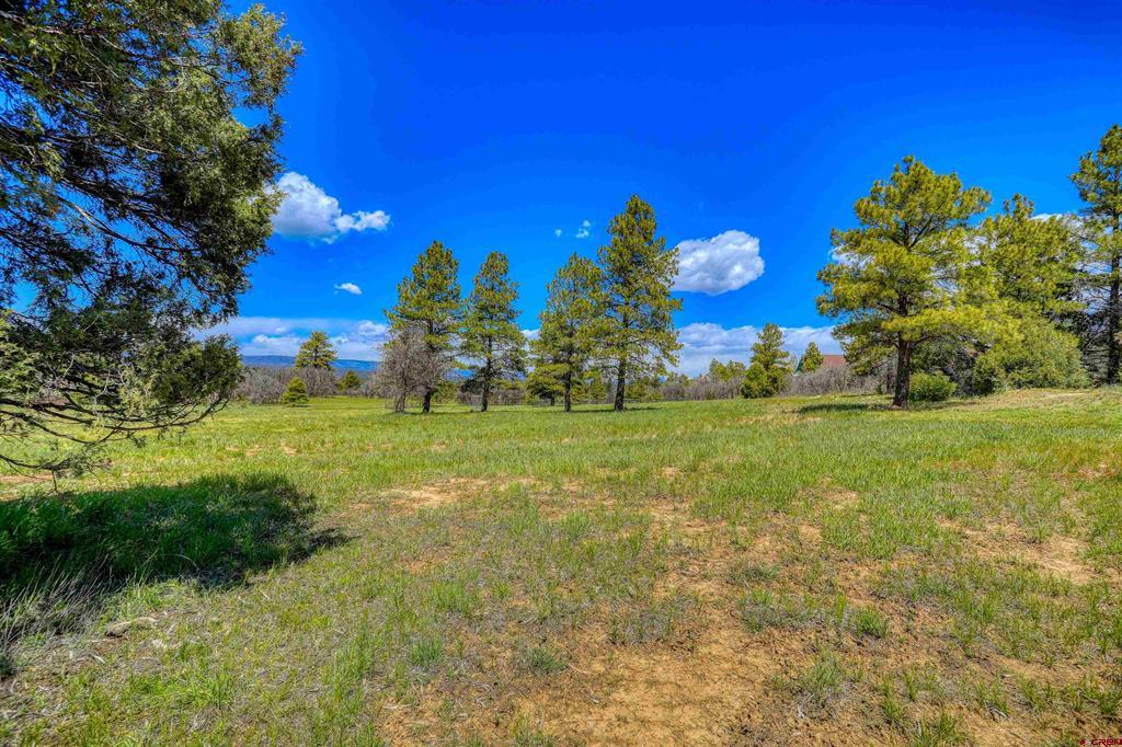 240 Paciente Place Pagosa Springs CO 81147