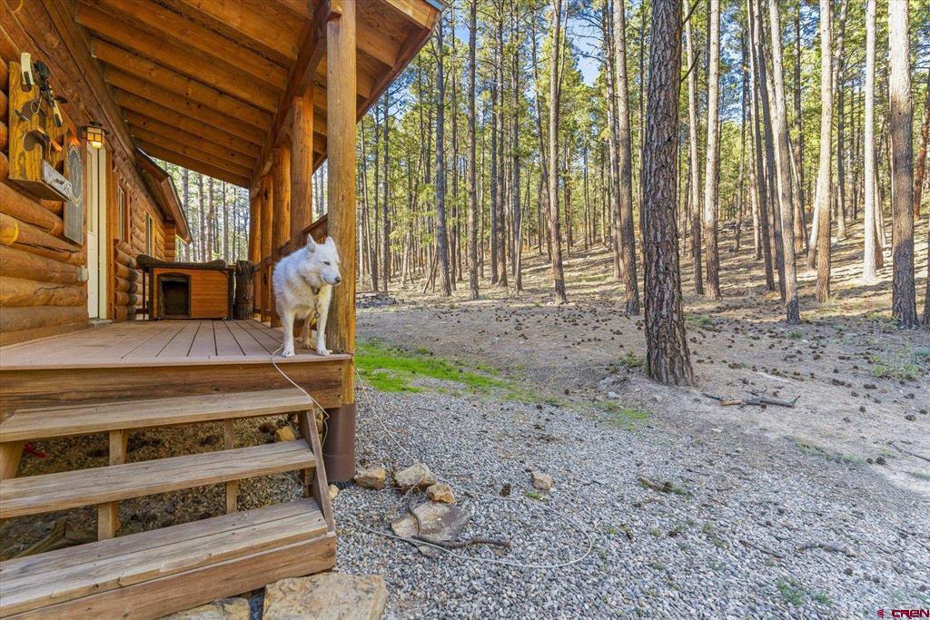 221 Deer Ridge Drive Bayfield CO 81122