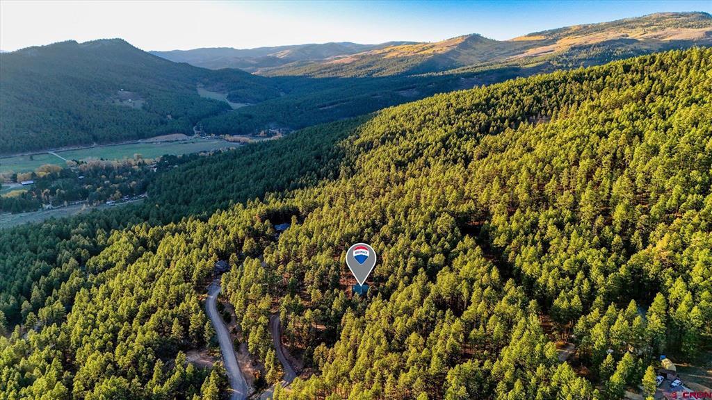 221 Deer Ridge Drive Bayfield CO 81122