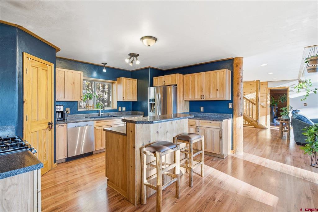 221 Deer Ridge Drive Bayfield CO 81122