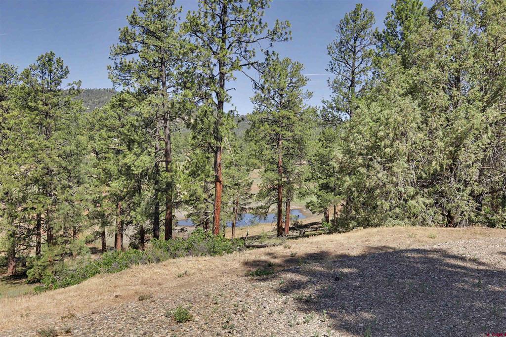 330 Blue Spruce Drive Pagosa Springs CO 81147