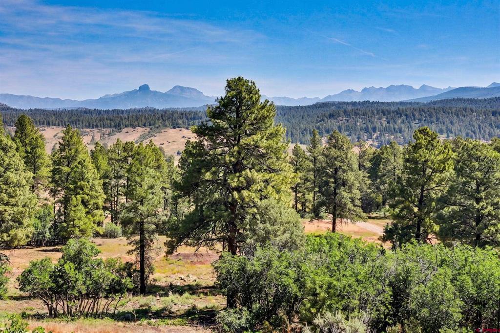 330 Blue Spruce Drive Pagosa Springs CO 81147