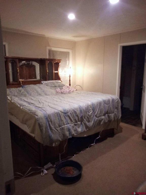 72 W Great West Avenue Pagosa Springs CO 81147