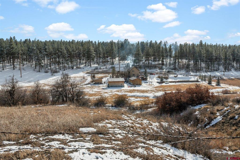 215 Wieland Drive Bayfield CO 81122