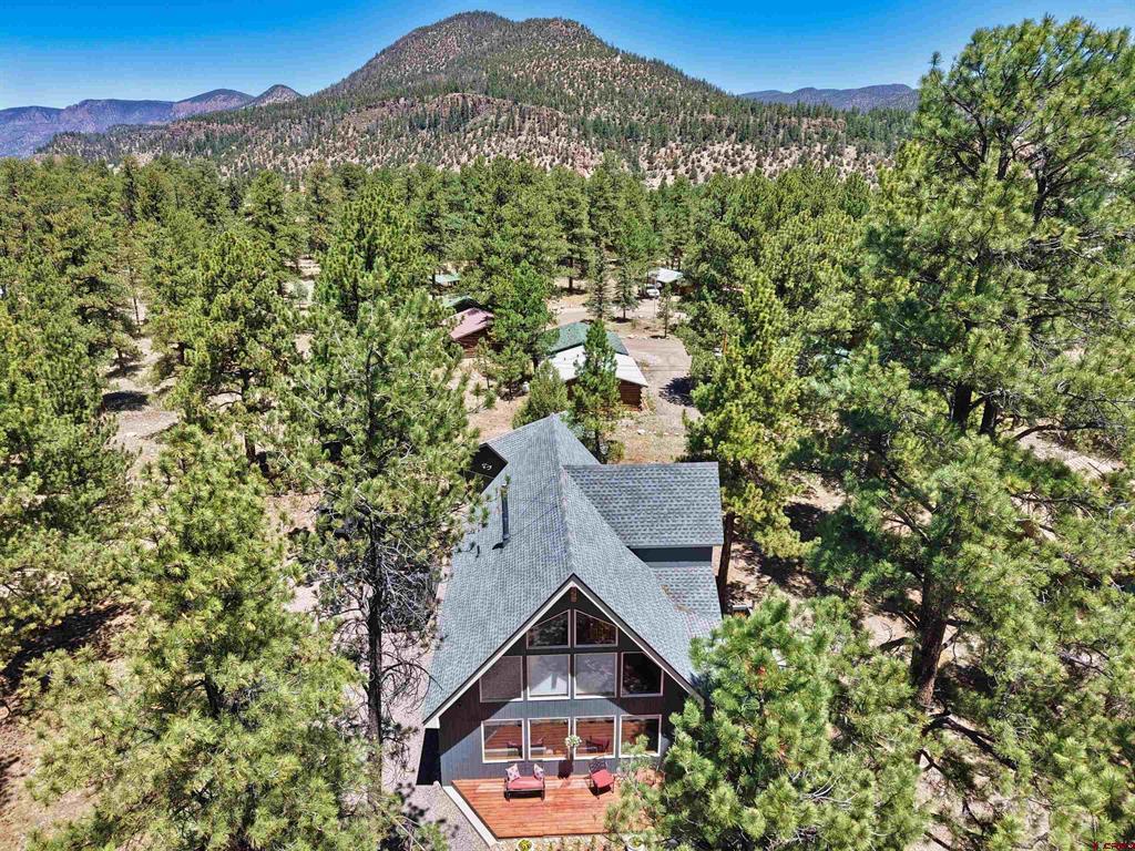 139 Bristle Cone South Fork CO 81154