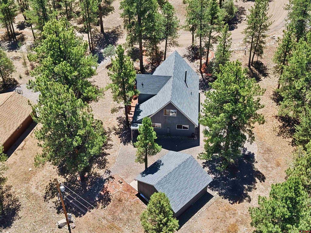 139 Bristle Cone South Fork CO 81154