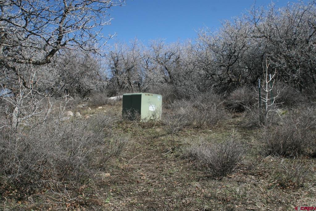 75160 Q72 Road Montrose CO 81401