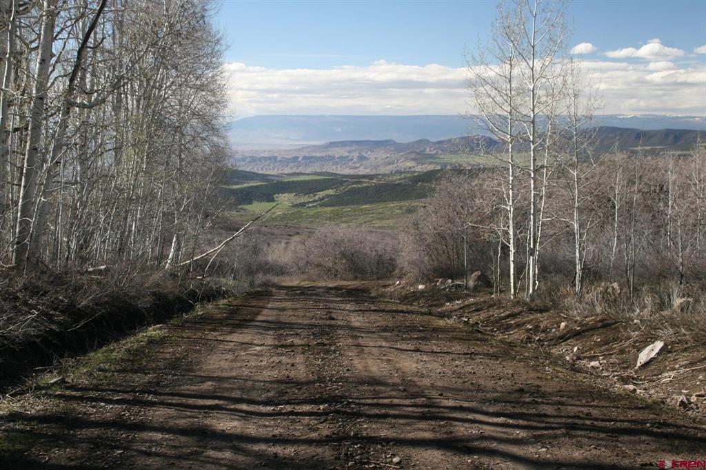 75160 Q72 Road Montrose CO 81401