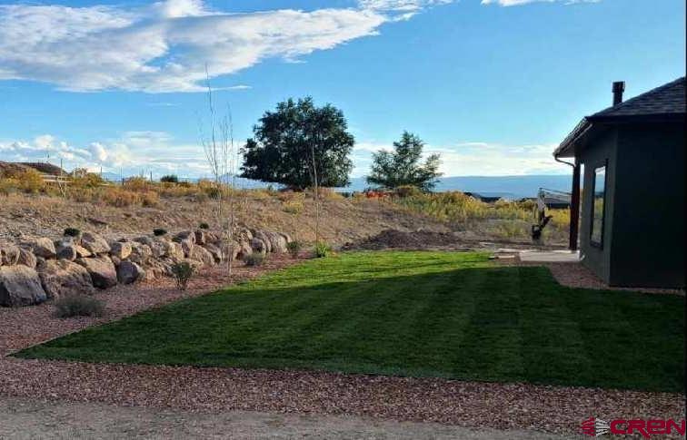 1439 Big Pines Drive Montrose CO 81401