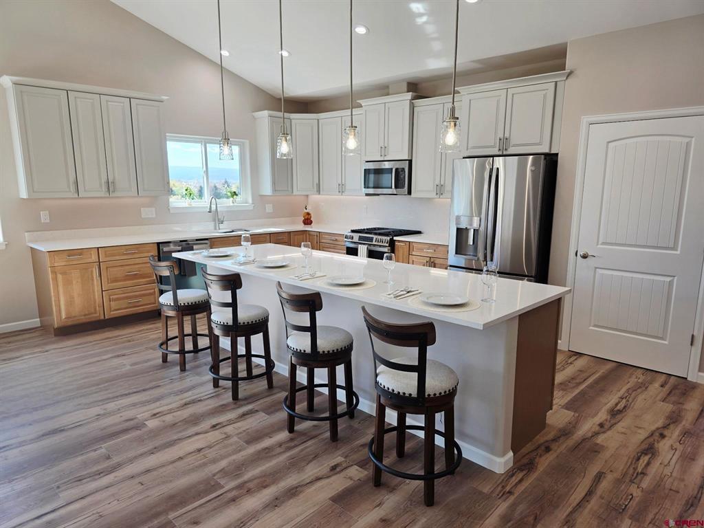 1439 Big Pines Drive Montrose CO 81401