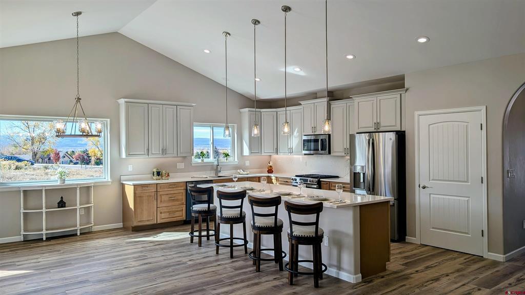 1439 Big Pines Drive Montrose CO 81401