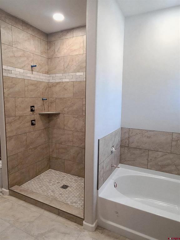 1439 Big Pines Drive Montrose CO 81401
