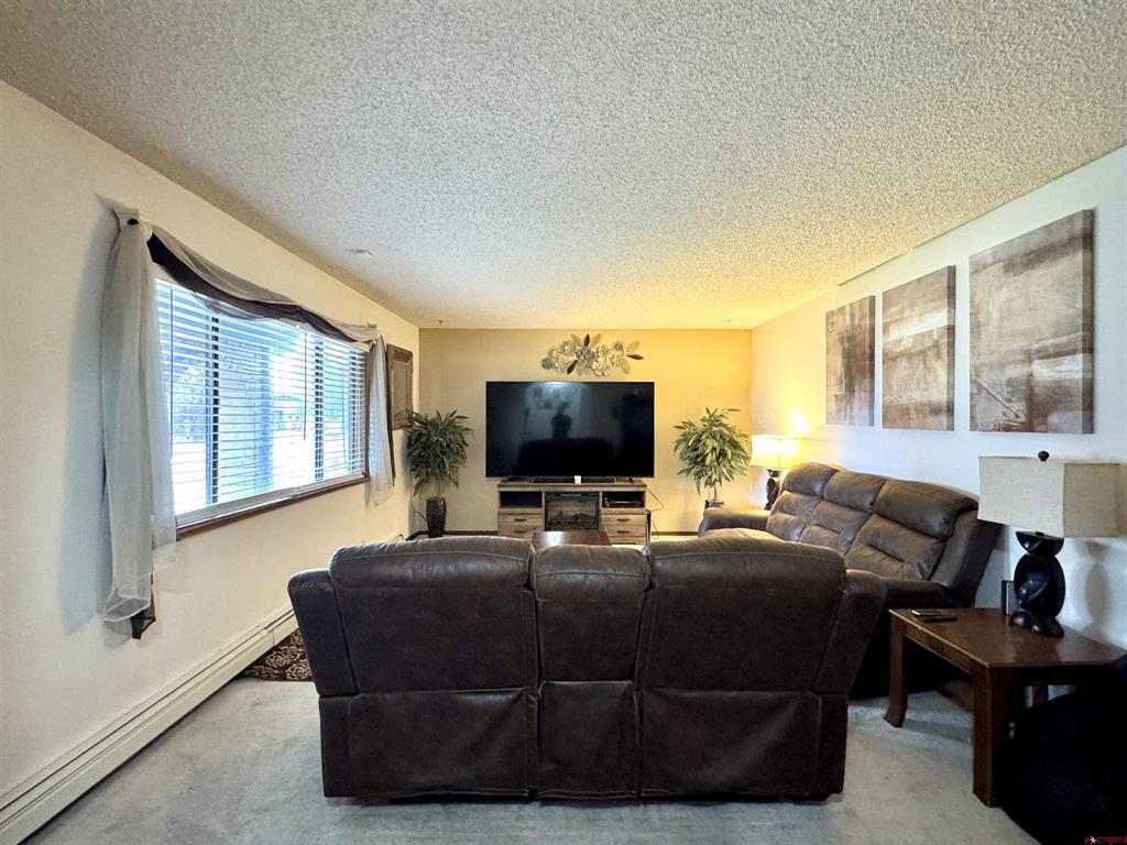 598 Pine Street Monte Vista CO 81144