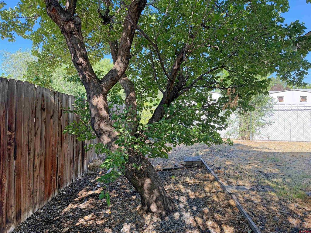 1522 Arizona Street Montrose CO 81401