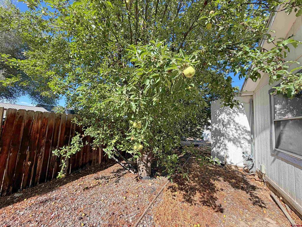 1522 Arizona Street Montrose CO 81401