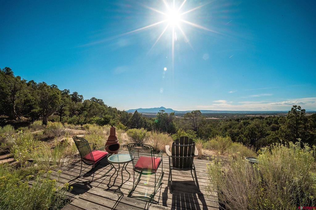 10877 Road 35 Mancos CO 81328