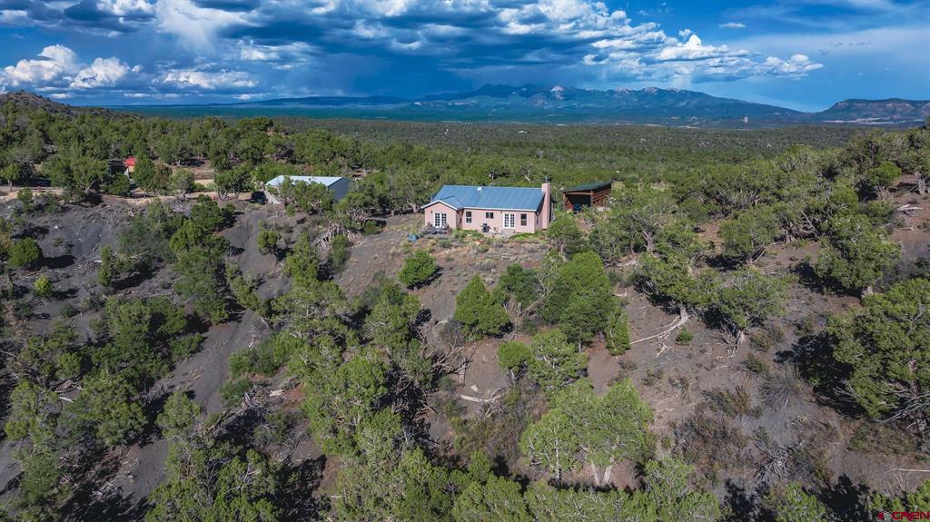 10877 Road 35 Mancos CO 81328